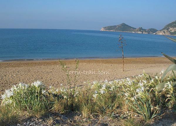 Corfu Trail Agios Georgios Strand